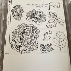 Papertrey Ink floral stamp set and matching dies. In Bloom.